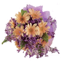 arrange.gif (26651 �o�C�g)