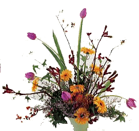arrangement.JPG (18629 �o�C�g)