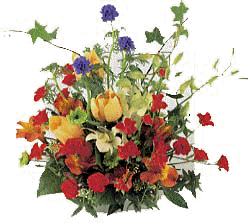 arrangements.JPG (15770 �o�C�g)
