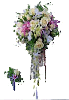 booke2.JPG (7608 �o�C�g)