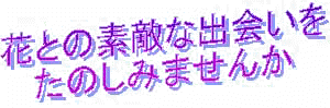 flowercopy.JPG (9006 �o�C�g)