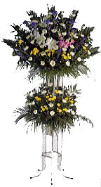 tuito.JPG (12029 �o�C�g)
